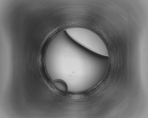 X0000113760400200909230951