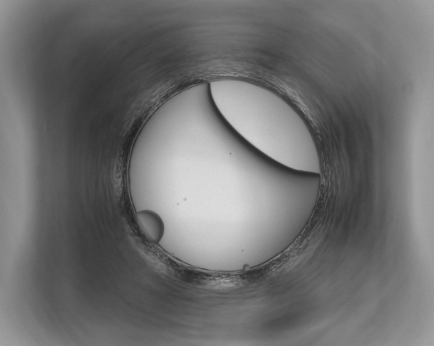 X0000113760402200909230951