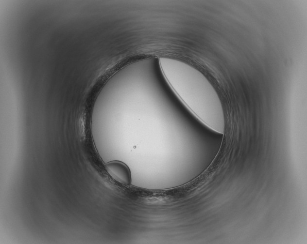 X0000113760404200909230951