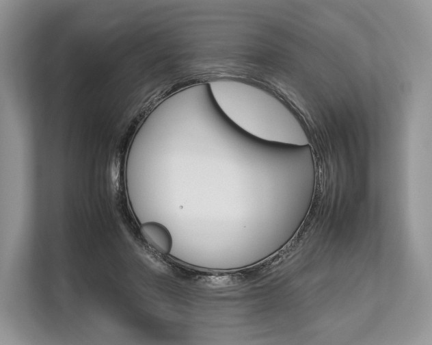 X0000113760406200909230951