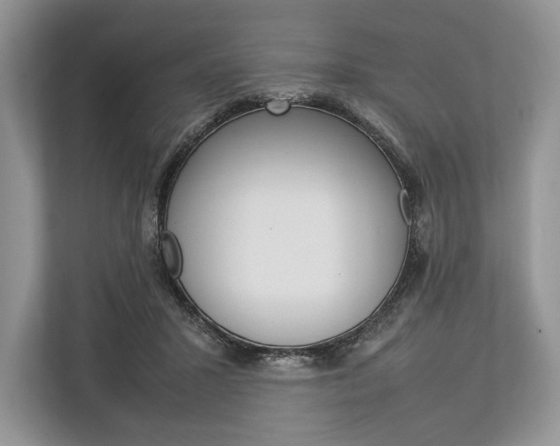 X0000113760407200909230951