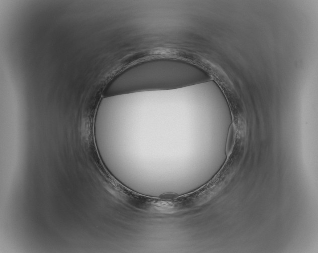X0000113760409200909230951