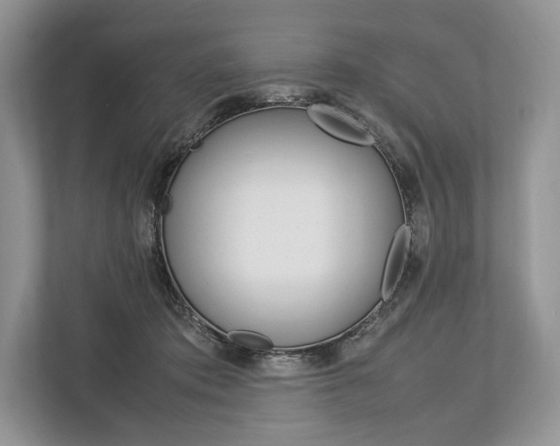 X0000113760413200909230951