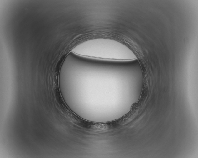 X0000113760421200909230951