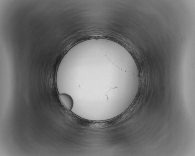 X0000113760422200909230951