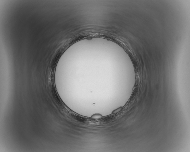 X0000113760423200909230951