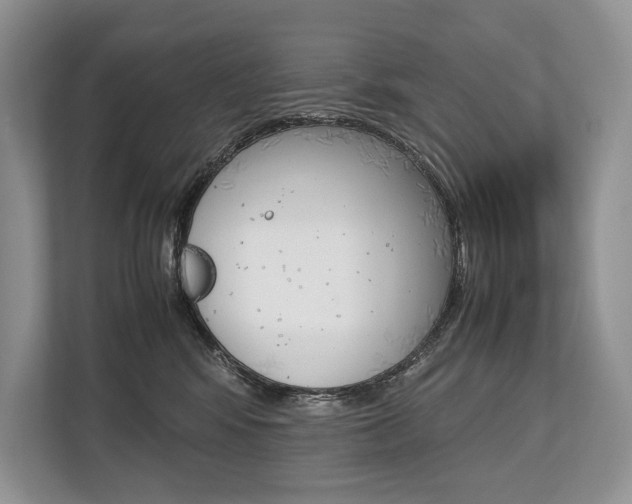 X0000113760424200909230951
