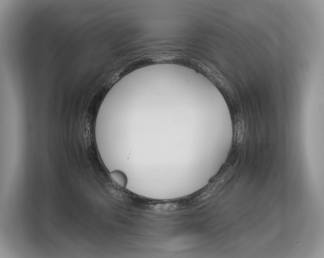 X0000113760426200909230951