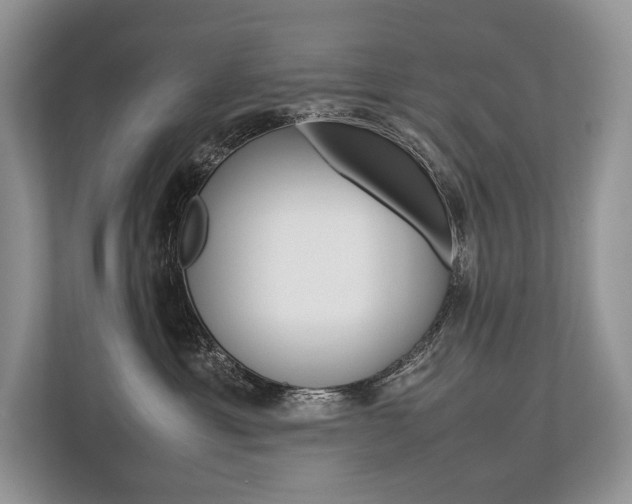 X0000113760429200909230951