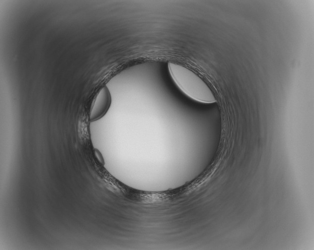 X0000113760432200909230951