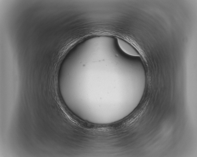 X0000113760433200909230950