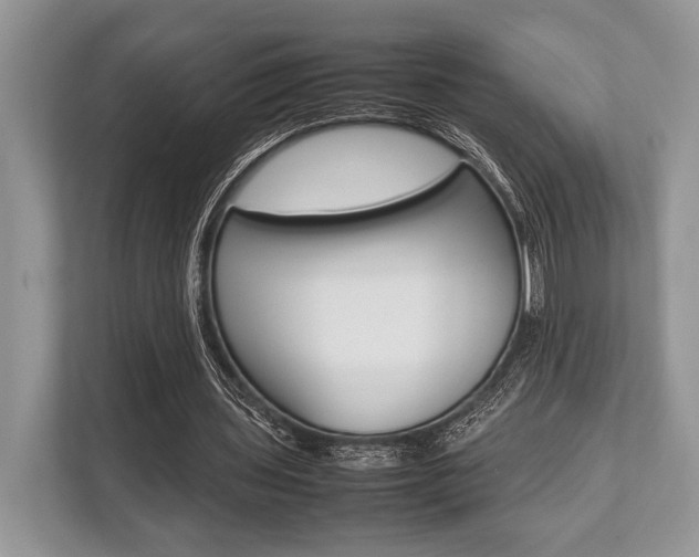 X0000113760435200909230950