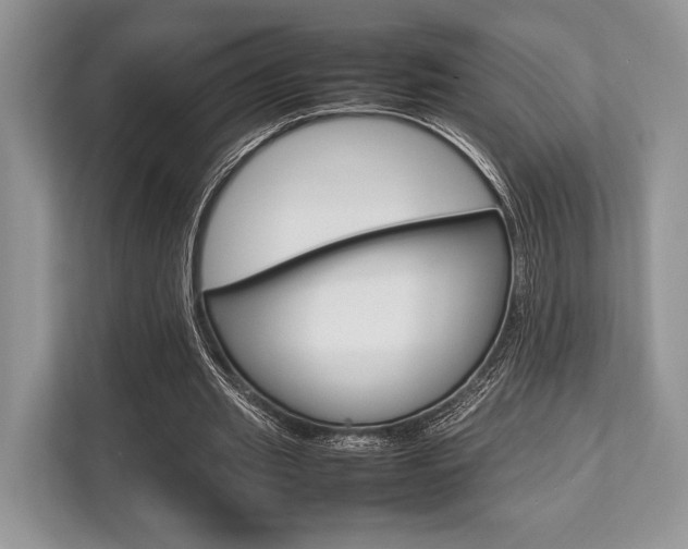 X0000113760437200909230950