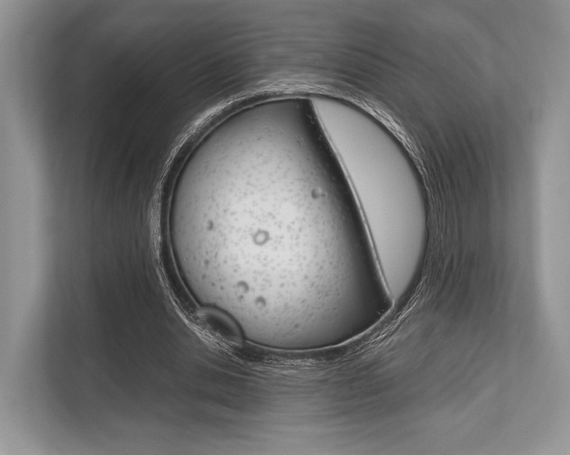 X0000113760438200909230950