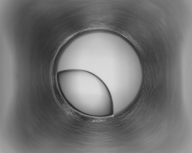 X0000113760440200909230950