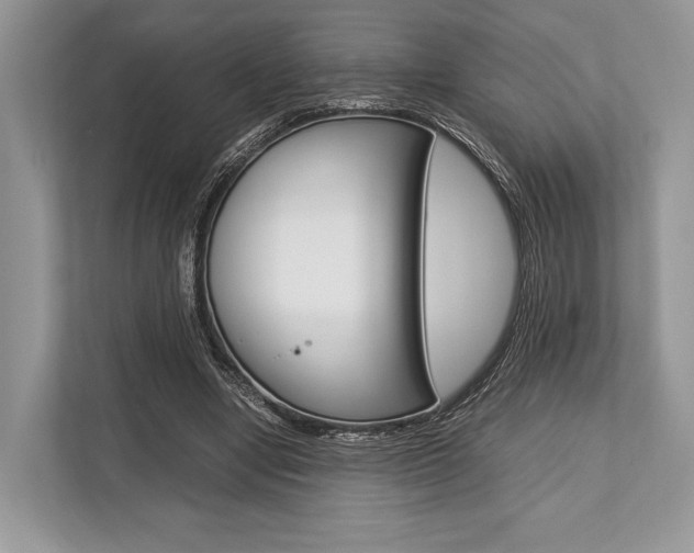 X0000113760442200909230950