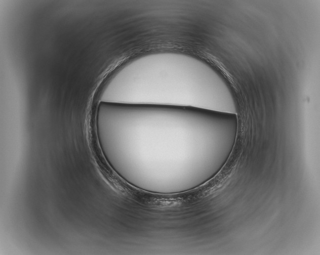 X0000113760443200909230950