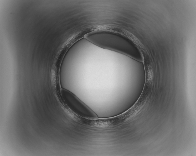 X0000113760444200909230950