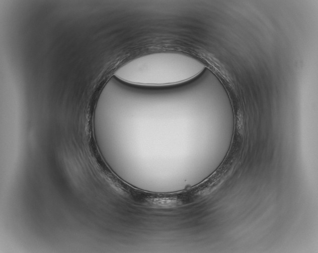 X0000113760449200909230950