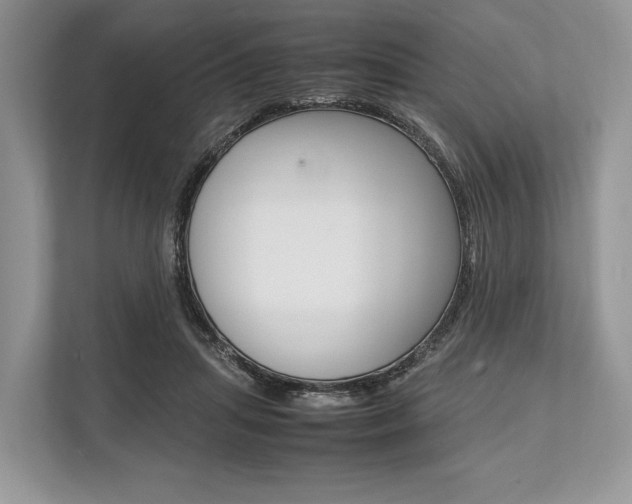 X0000113760455200909230950