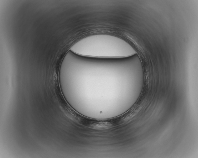 X0000113760459200909230950