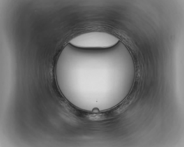 X0000113760461200909230950