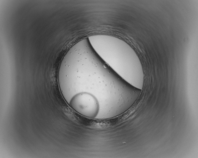 X0000113760466200909230950