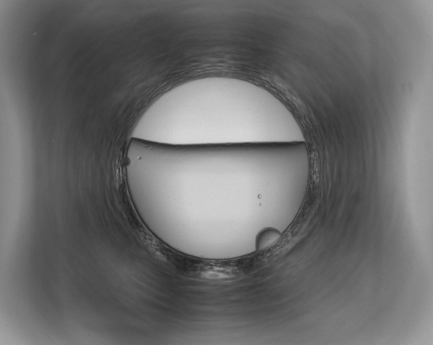 X0000113760471200909230950