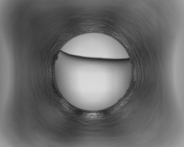 X0000113760473200909230950