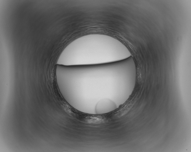 X0000113760475200909230950