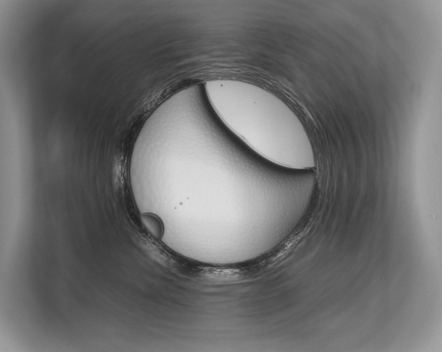 X0000113760476200909230950