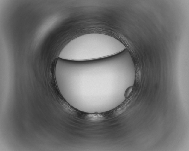 X0000113760477200909230950