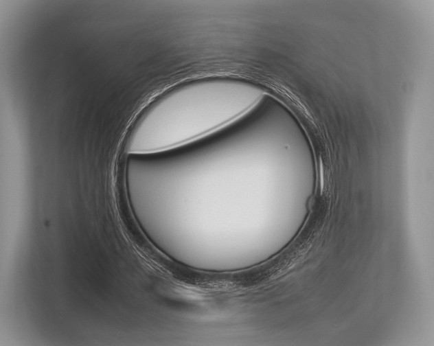 X0000113760483200909230950
