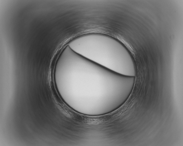 X0000113760486200909230950