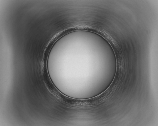 X0000113760488200909230950