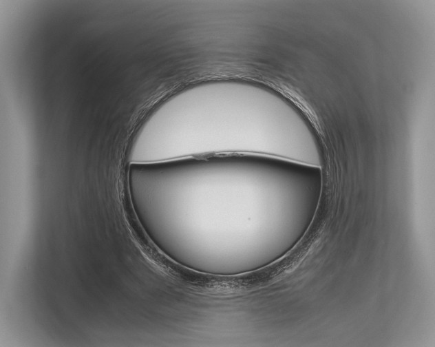 X0000113760489200909230950