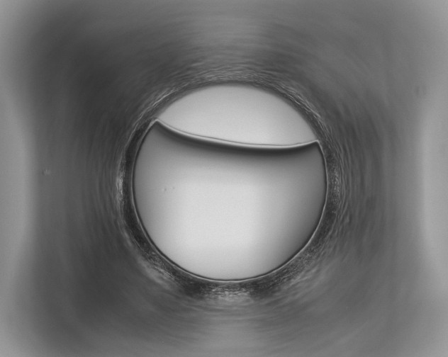 X0000113760491200909230950