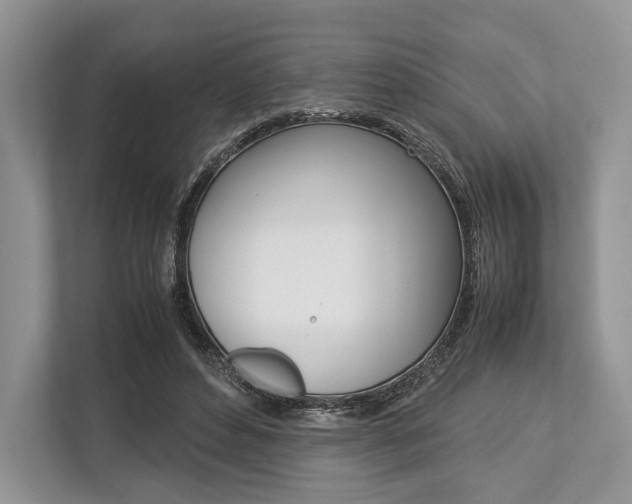 X0000113760496200909230950