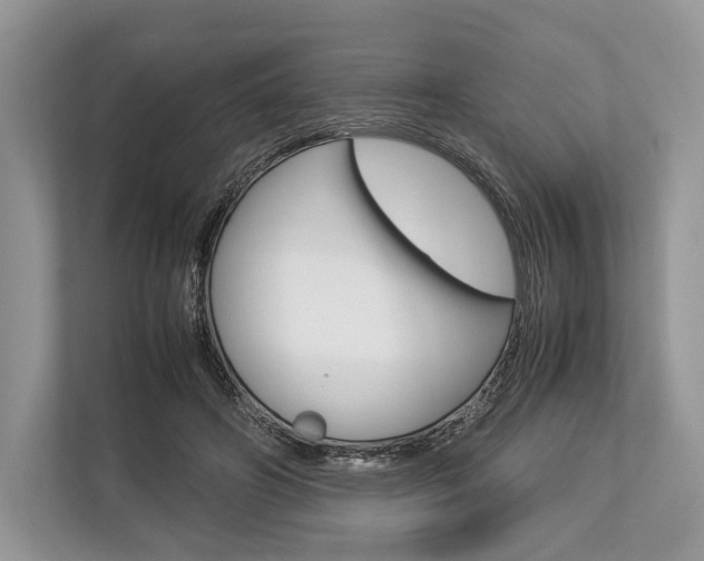X0000113760498200909230950