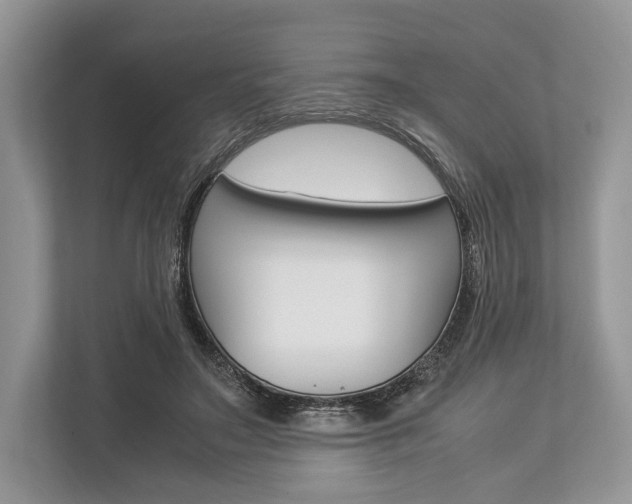 X0000113760499200909230950