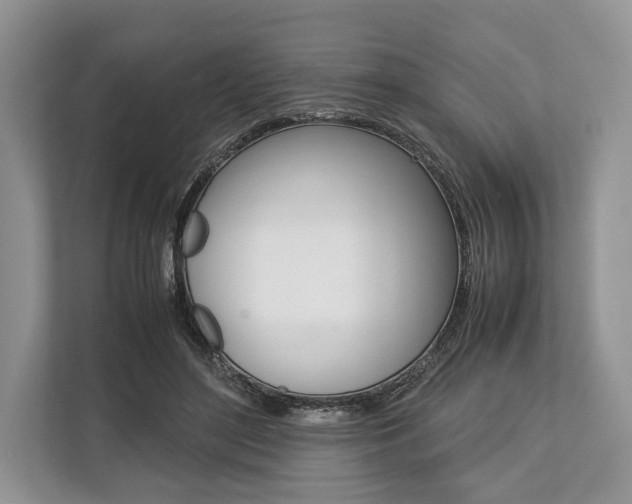 X0000113760500200909230950