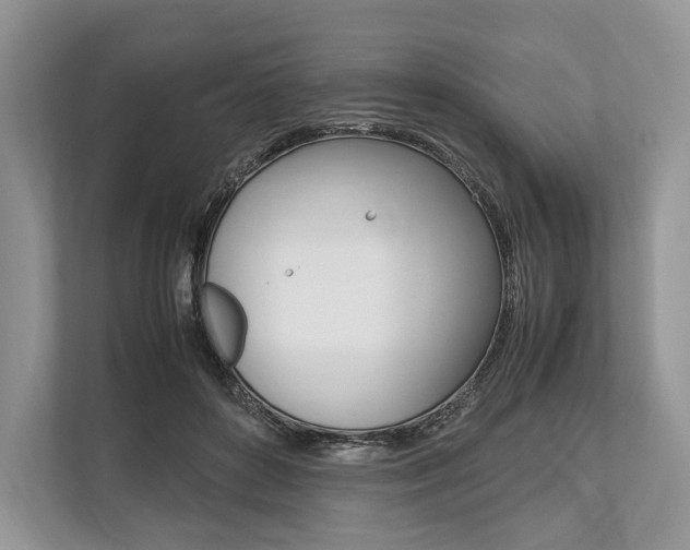X0000113760504200909230950
