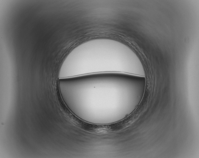 X0000113760505200909230950