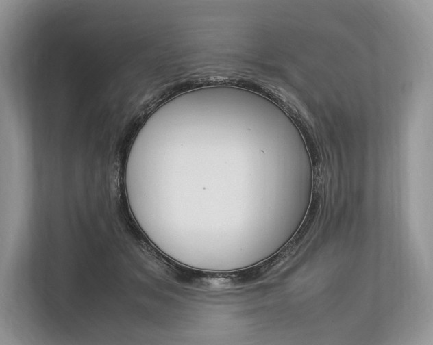 X0000113760509200909230950