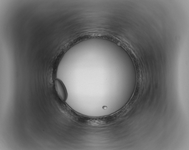 X0000113760512200909230949
