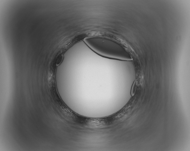 X0000113760521200909230949