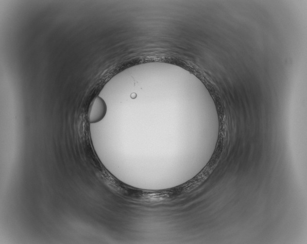 X0000113760522200909230949