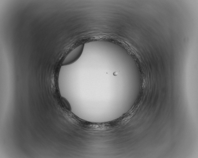 X0000113760524200909230949