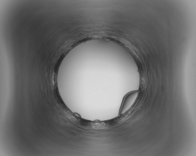 X0000113760525200909230949