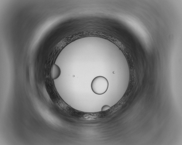 X0000113760526200909230949